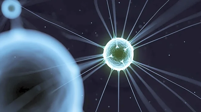 MIT Researchers Develop AI Model to Predict Cell Behavior in Early Development