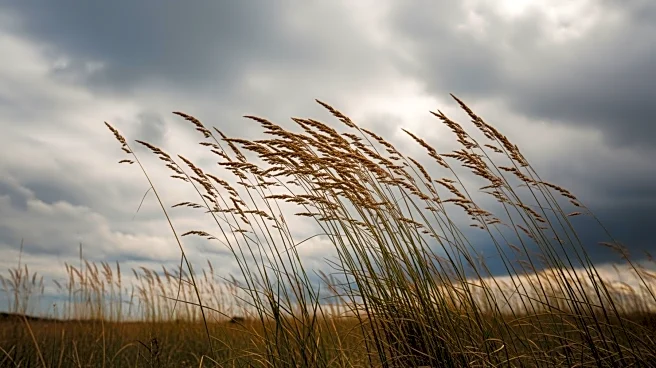 Strong Southern Wind Brings Low Rain Chance to North Texas, Affecting Weather Patterns