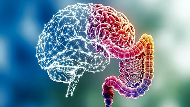 Study Links Social Anxiety to Gut Microbiome in Adolescents