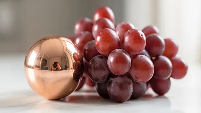 Resveratrol and Copper Supplements Show Promise in Glioblastoma Treatment