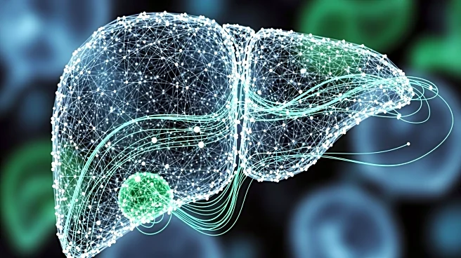 Research Shows Hepatic Reconstitution of Trophic Factors Enhances Immunity in Aging