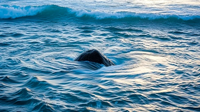 Kuroshio Current Shift Causes Unprecedented Ocean Changes Off Japan's Coast