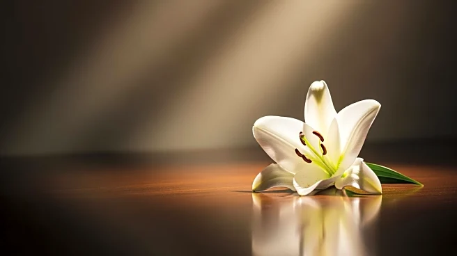 T. Joseph Daley's Passing at Age 90: Community Mourns