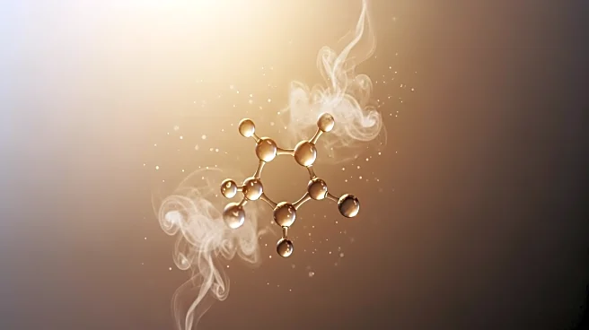 Study Finds Fat Odour Exposure in Pregnancy May Lead to Offspring Obesity