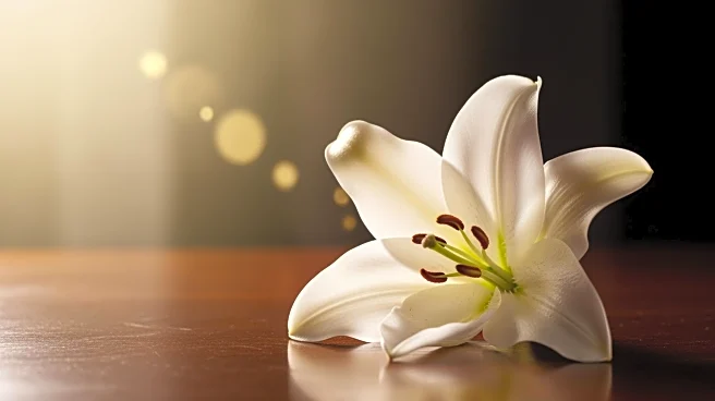 Rodney Wayne Strother's Life and Legacy Remembered in Obituary