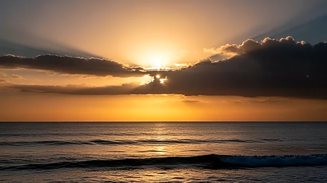 Uplifting Stories of 2025 Highlight Resilience and Joy Amid Challenges