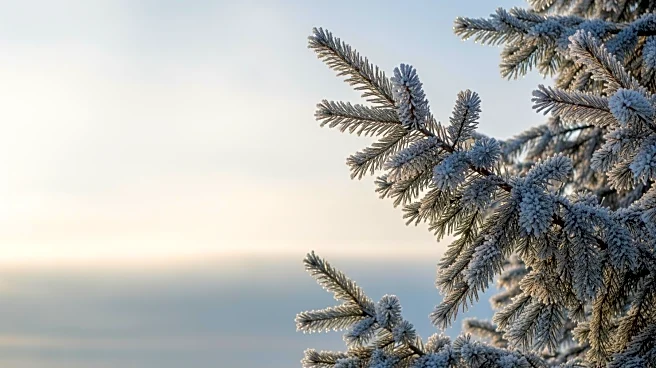Georgia Weather Forecast Indicates Unlikely Snow for Christmas