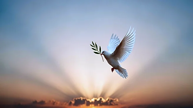 Muslims for Human Rights Condemn Violence and Advocate for Peace Following Australian Tragedy