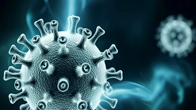 H3N2 Flu Strain Prolongs Recovery, Experts Advise on Mitigation