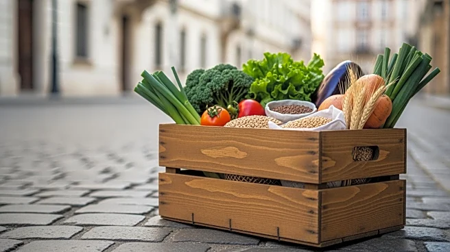 Farmers Protest in Brussels Against South American Free-Trade Deal, Highlighting Economic Concerns