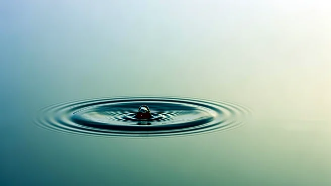 Calming Waters Opens New Clinic in Plymouth to Provide Affordable Mental Health Therapy