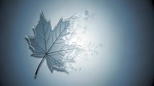 Canada's Population Declines as Immigration Caps Take Effect