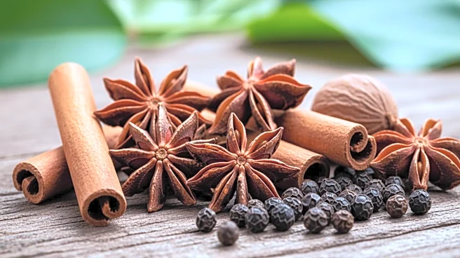 Olam Launches Sustainability Strategy to Enhance Spice Supply Chain Resilience