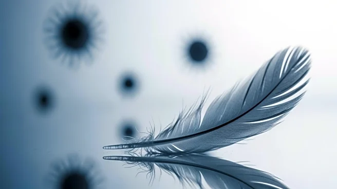 Indian Scientists Warn of Potential H5N1 Bird Flu Pandemic Risk to Humans