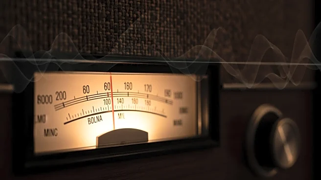 FCC Democrat Anna M. Gomez Warns Against Political Influence on Media Oversight