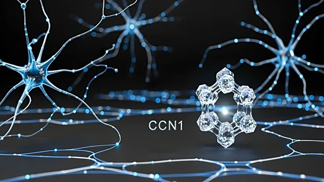 Salk Institute Identifies Astrocyte Protein CCN1 as Key to Adult Brain Circuit Stability