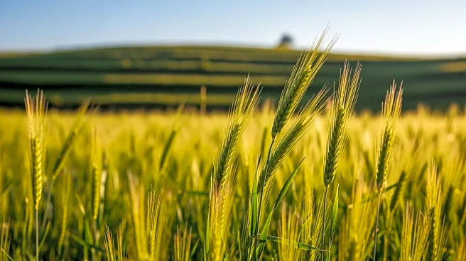 Pakistani Graduates Complete Agriculture Training in China to Enhance Farming Practices