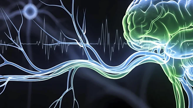 Study Disassociates Cerebral Vasomotion from Neurovascular Coupling