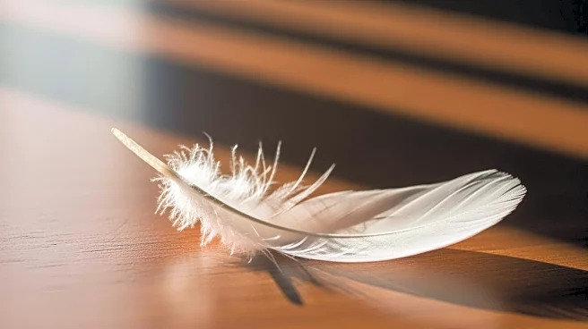 Human Trafficking Survivor Receives Presidential Citation for Advocacy Work