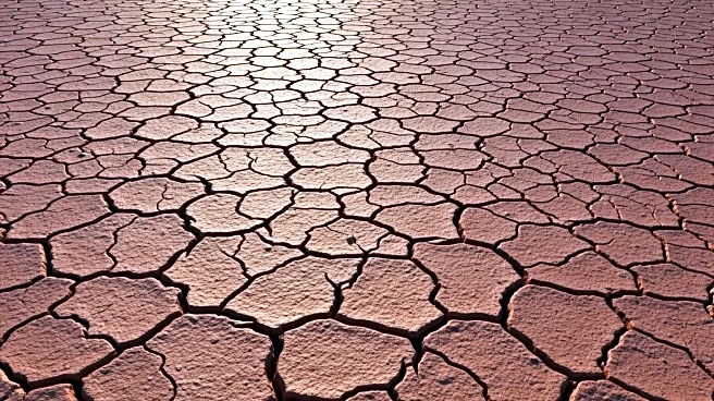 NASA's Curiosity Rover Discovers Polygonal Patterns in Gale Crater, Mars