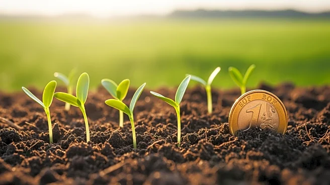 Hi-Pro Boosts Jamaican Agriculture Recovery with $5.5 Million Donation