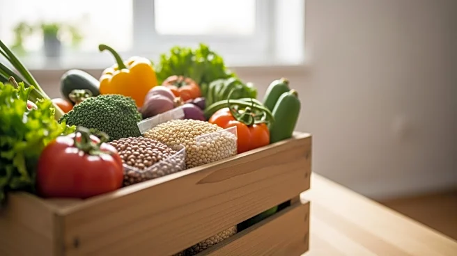 UN-Backed Experts Report Improvement in Gaza Food Supplies Amid Criticism from Israel