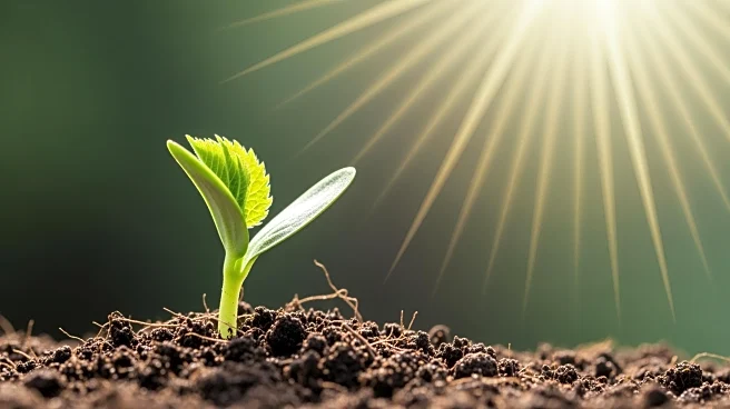 Nigerian Government Commits to Transforming Agriculture Sector with Results-Driven Oversight