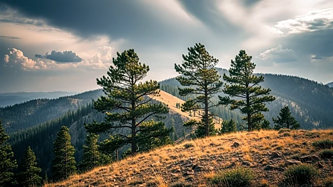 Colorado Faces Fire Weather Watch Amid Extreme Wind Conditions