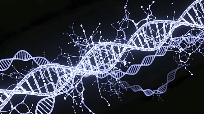 Study Reveals Genetic Overlap in 14 Psychiatric Disorders, Suggesting New Diagnostic Approaches