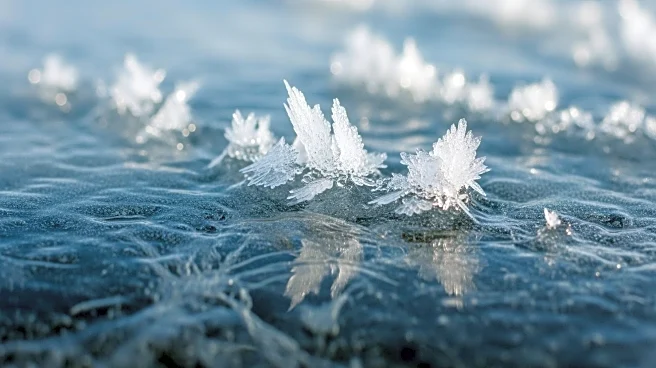 Scientists Warn of Rapid Changes in Polar Ecosystems Threatening Global Food Chains