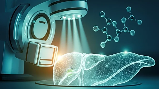 Study Explores Radiotherapy and Anti-PD-1 Immunotherapy in Hepatocellular Carcinoma Control