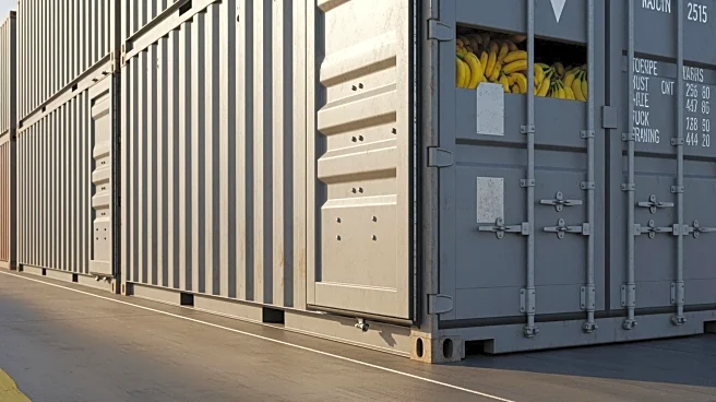 Investigation into Unsecured Banana Containers on Baltic Klipper