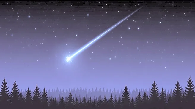Ursid Meteor Shower to Illuminate Night Sky for Holiday Season