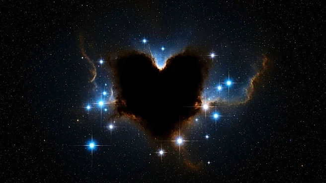 DECam Reveals the Dark Heart of Circinus Constellation