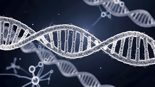 JAX and NYSCF Launch Unified Organization to Advance Biomedical Research