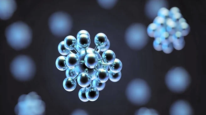 Scripps Research Develops Nanoparticle Vaccine to Enhance Filovirus Detection by Immune System