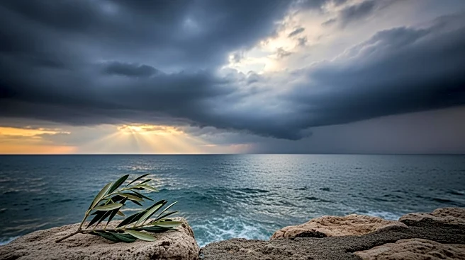 Putin Criticizes Ukraine's Peace Stance Amid New Mediterranean Strike