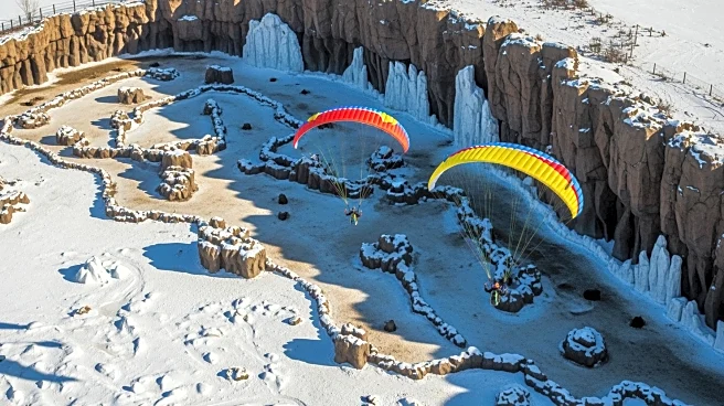 Paragliders Avoid Near Disaster at Peak Wildlife Park's Polar Bear Enclosure