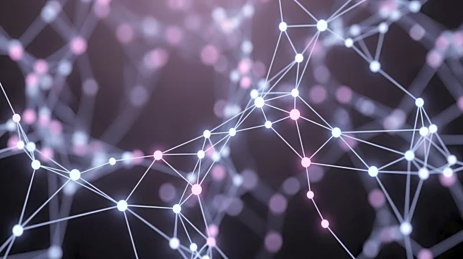 Rutgers Study Reveals How Brain Connectivity Affects Cognitive Abilities