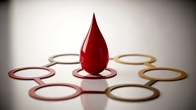 Brixton Blood Donor Centre Launches Group Booking Initiative to Boost Black Donor Participation