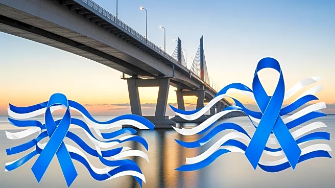 Japan Pledges $6 Billion to Support Ukraine's Defense Against Russian Aggression