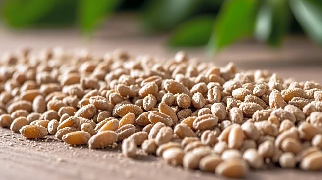 Study Finds Mushroom Waste Enhances Poultry Feed Quality and Safety