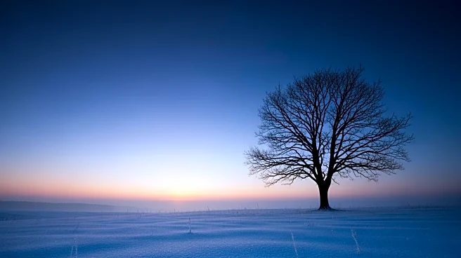 Winter Solstice Captured in Stunning Images Across North East and Cumbria