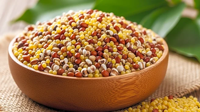 Promotion of Millets Emphasized at Vijayawada Training Program