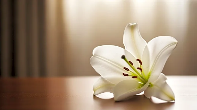 George Clooney's Sister Adelia Zeidler Passes Away at 65 After Battling Cancer