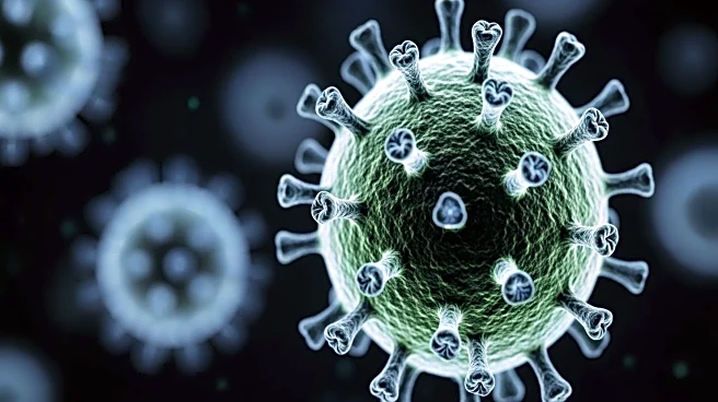 Adenovirus Emerges as a Stronger Threat Than Covid and Flu, Experts Warn