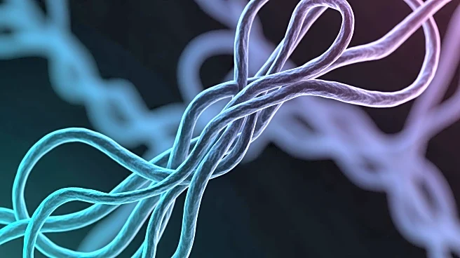 New Multi-Omics Review Sheds Light on Pancreatic Cancer Precursor