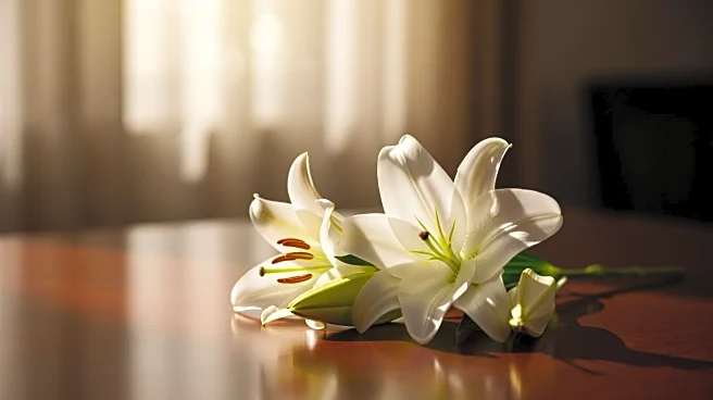 Susan Howell Larkin Passes Away at 68, Funeral Scheduled for December 28