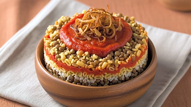 Koshary Recognized by UNESCO as Egypt's Cultural Heritage Dish