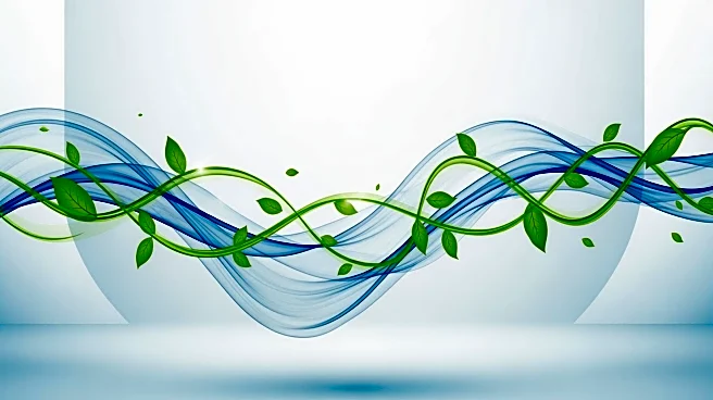 Research Highlights Lifestyle Factors Enhancing Brain Detoxification